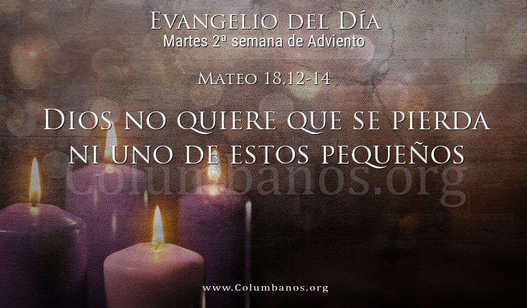 Mateo 18,12-14