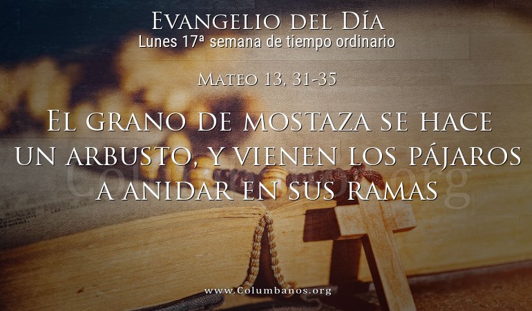 Mateo 13, 31-35