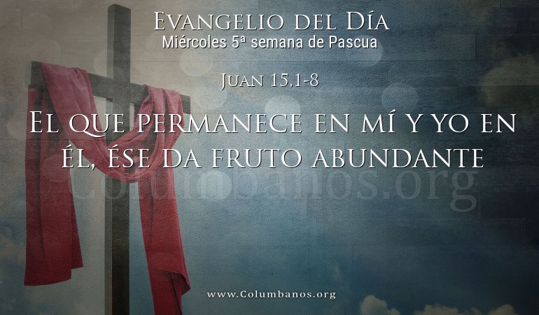 Juan 15,1-8