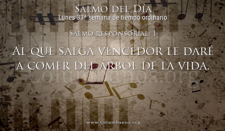 Salmo responsorial: 1