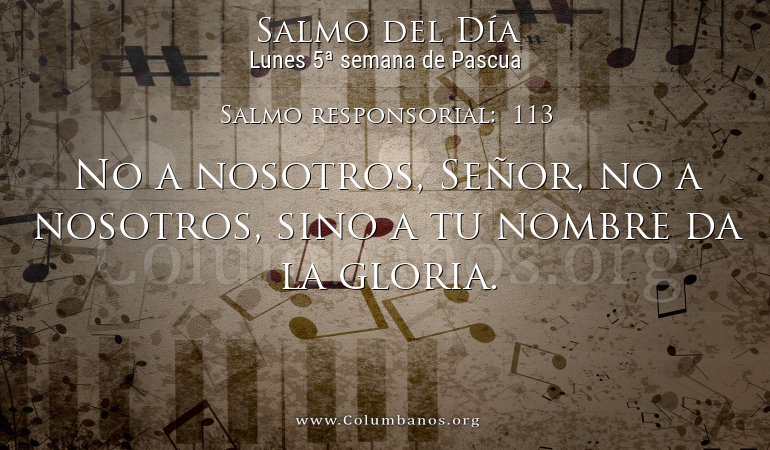 Salmo responsorial:  113