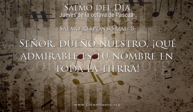 Salmo responsorial: 8 Salmo responsorial: 8