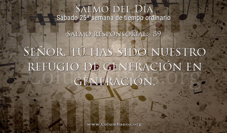 Salmo responsorial:  89