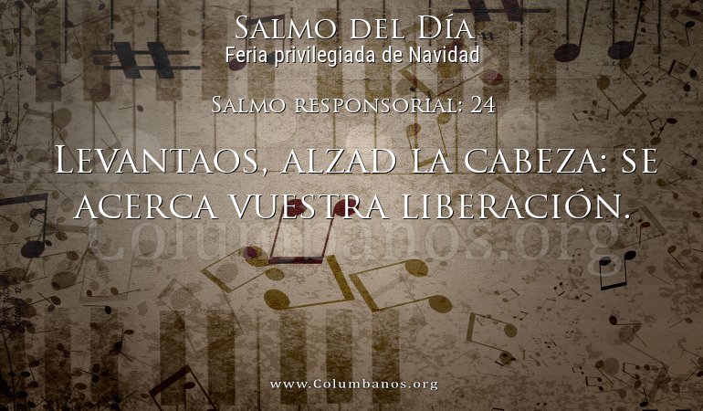 Salmo responsorial: 24