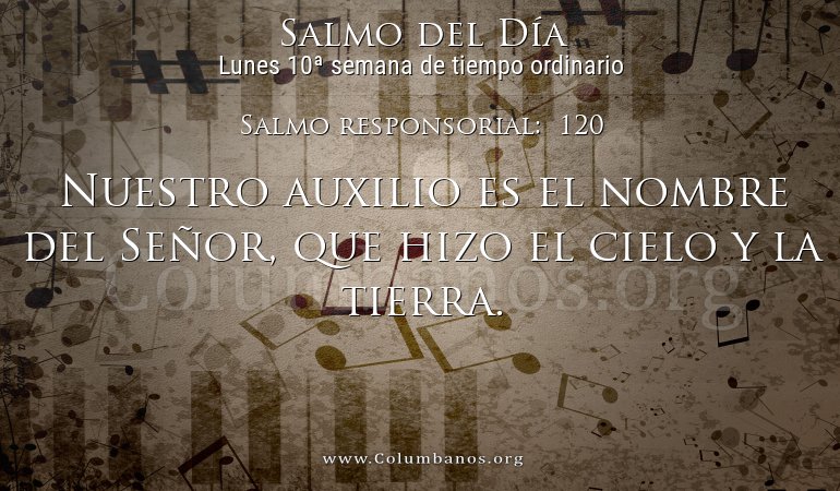 Salmo responsorial:  120