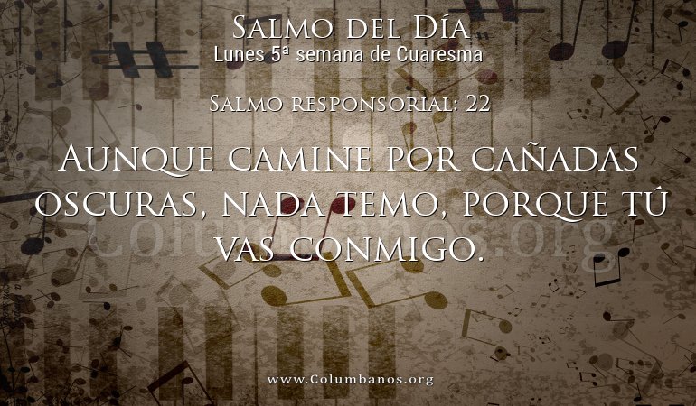 Salmo responsorial: 22 Salmo responsorial: 22